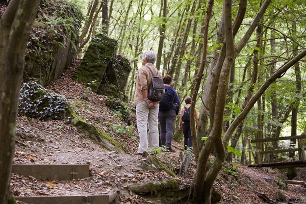 Drei Personen laufen durch den Wald. Drei Personen laufen durch den Wald.