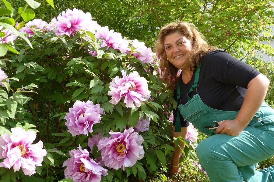 Eine Patientin kniet mit einer Gartenschere vor einer Pflanze. Eine Patientin kniet mit einer Gartenschere vor einer Pflanze.